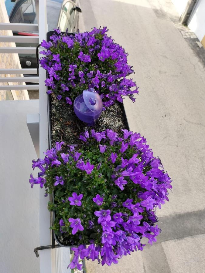 코스타노바 The Violet House 빌라 외부 사진